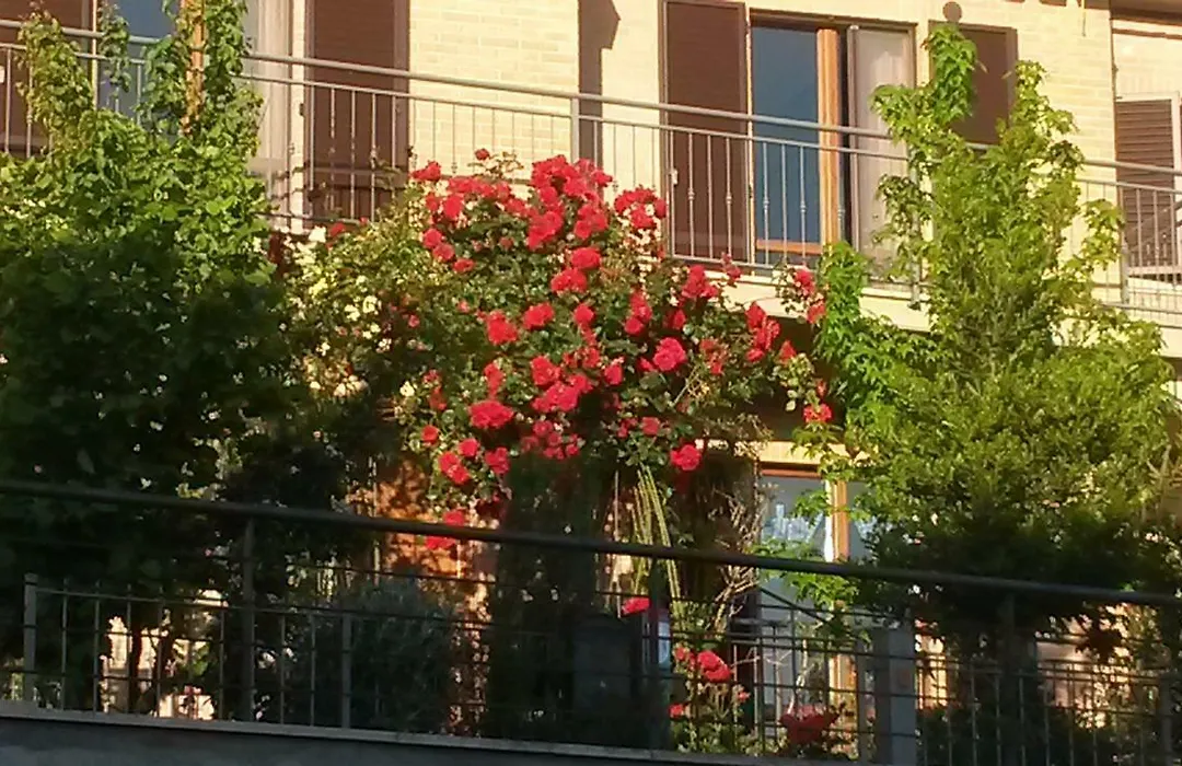 L'Incanto-1
